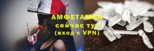 мет Алексин